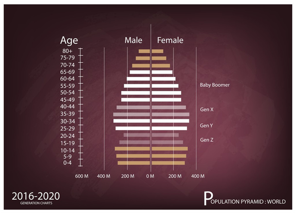 Diagramme der Bevölkerungspyramiden 2016-2020 mit 4 Generationen - Vektor, Bild