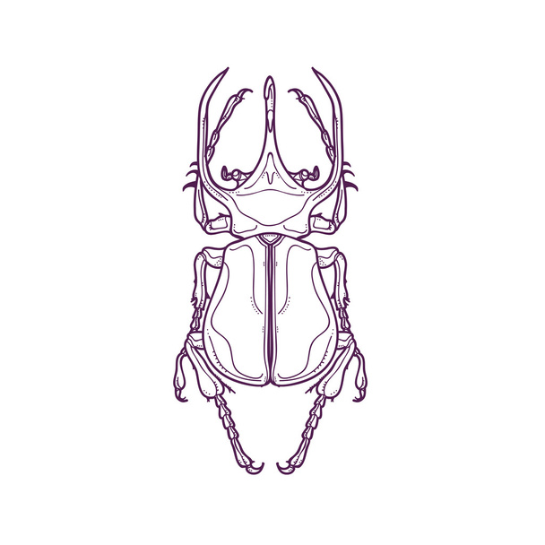 Outline Big Horn Beetle Bug Insect - Vector, Image
