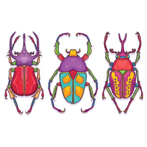 Set of 3 Beetle Bugs, Insect Colorful Hand Drawn - Vector, Image