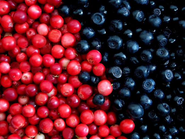 red-purple berry background blueberries and cranberries. - Valokuva, kuva
