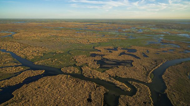 De delta van de rivier de Ili - Foto, afbeelding