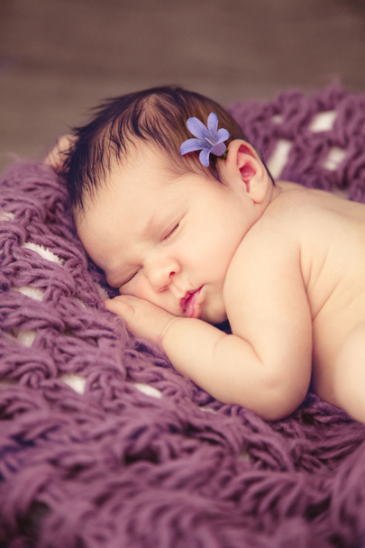 Doux rêve du nouveau-né
 - Photo, image