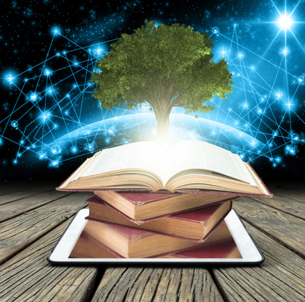 Baum wächst aus alten Büchern  - Foto, Bild