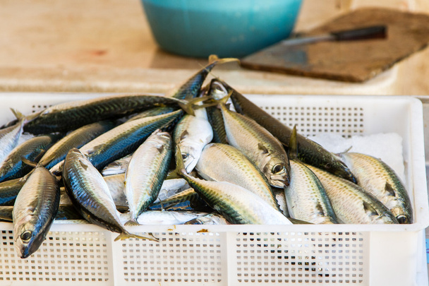 Čerstvé ryby na trhu - Fotografie, Obrázek