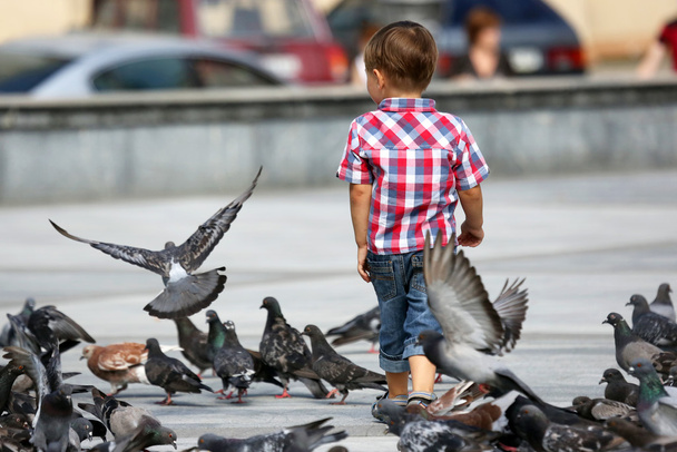 boy walks near the flocks of pigeons - Фото, изображение