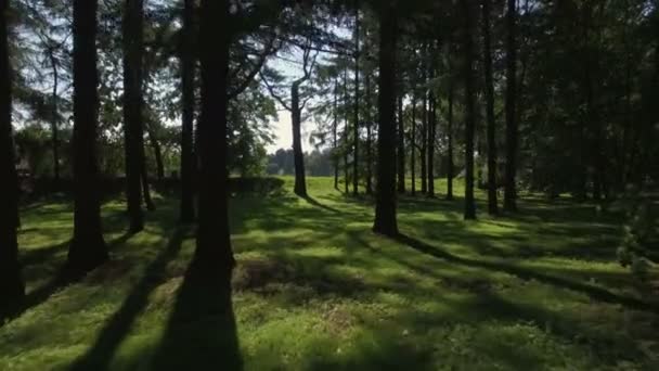 Létající koryto lesa - Záběry, video