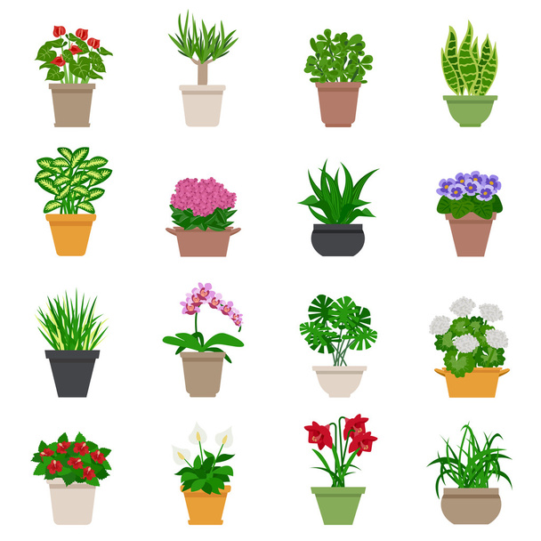 Set di icone per piante d'appartamento
  - Vettoriali, immagini