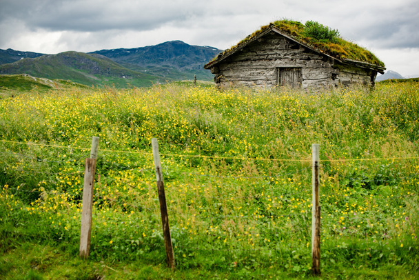 ノルウェーの山の草地の小さな小屋 - 写真・画像