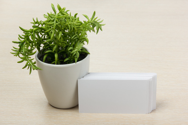 Λευκή λευκή λευκή επαγγελματική κάρτα. Γραφείο τραπέζι γραφείο με σετ πολύχρωμα προμήθειες, κύπελλο, στυλό, μολύβια, λουλούδι, σημειώσεις, κάρτες σε μπεζ φόντο. Πάνω προβολή και αντιγραφή χώρου για κείμενο διαφήμισης - Φωτογραφία, εικόνα