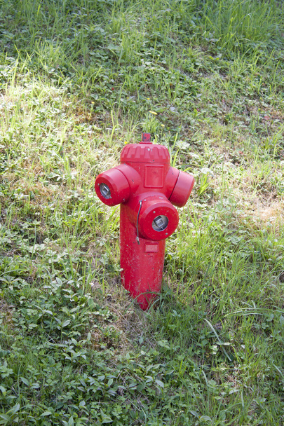 Hidratante de fogo em um parque como prevenção de incêndio
 - Foto, Imagem
