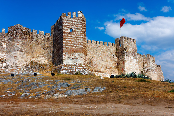 Citadel van Ayasoluk - Foto, afbeelding