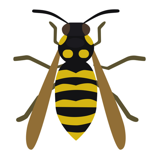 Abeja amarilla miel mosca insecto
 - Vector, imagen