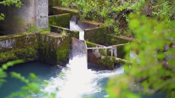 künstlicher Wasserfall im Waldberg zur Stromerzeugung - Filmmaterial, Video
