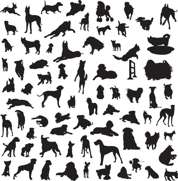 grote verzameling van verschillende silhouetten van honden - Vector, afbeelding