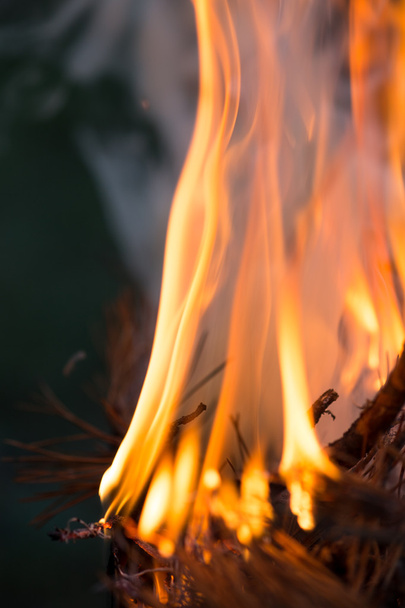 hoguera, ramas ardientes, fuego de macor y humo, primer plano
 - Foto, imagen