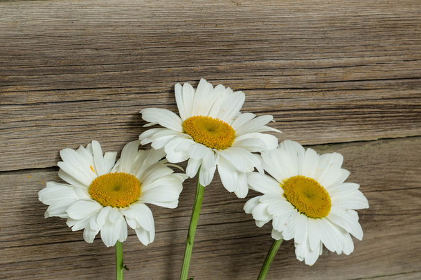 Chamomile flowers on a wooden - Foto, Bild