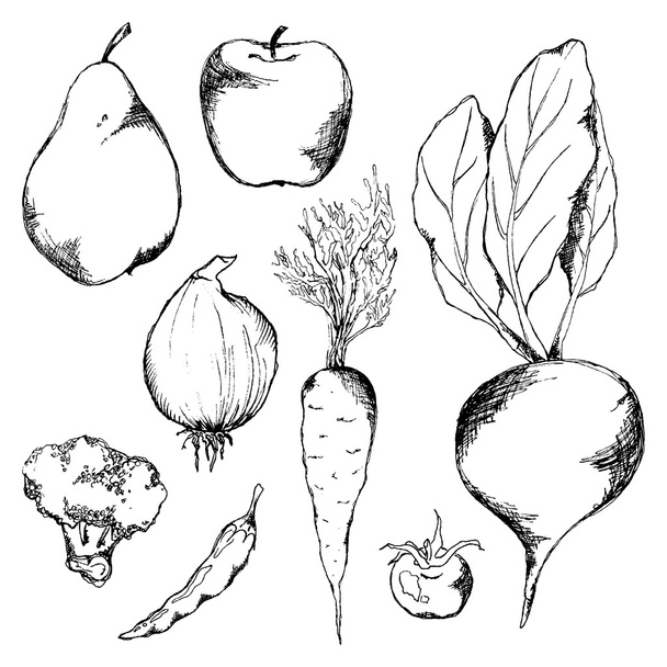 Vegetable fruit monochrome ink hand drawn set vector - Vektori, kuva