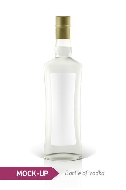 Wodkaflasche-Attrappe - Vektor, Bild