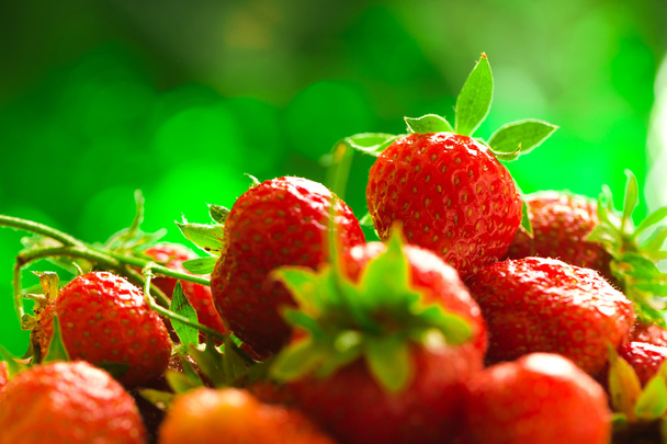 fresh strawberries closeup on the blurry background - Foto, Bild