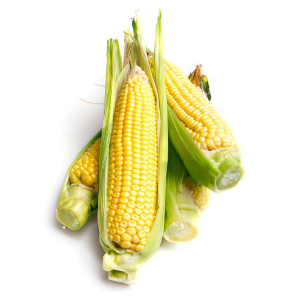 Corn cobs - Photo, Image