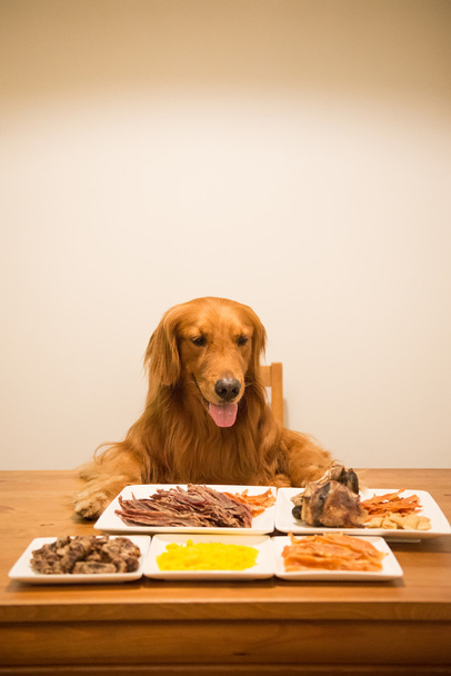 Golden retriever comiendo en la mesa
 - Foto, Imagen