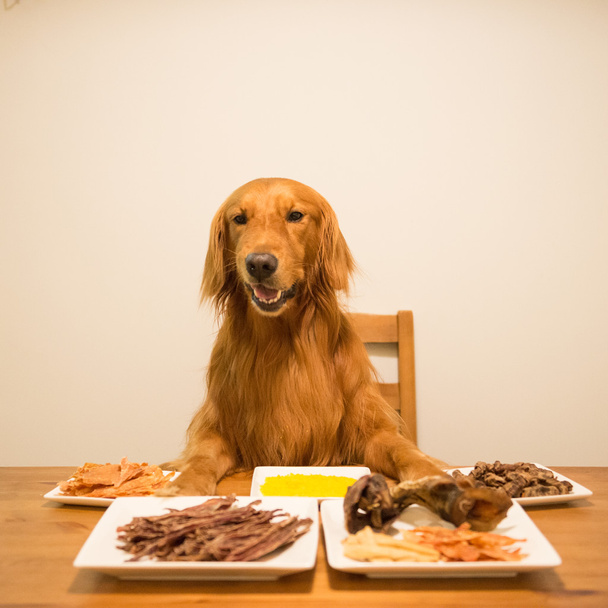 Golden retriever eating at the table - Photo, Image