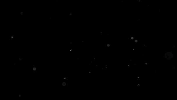 nube de polvo aislado negro fondo burbuja bokeh
 - Metraje, vídeo