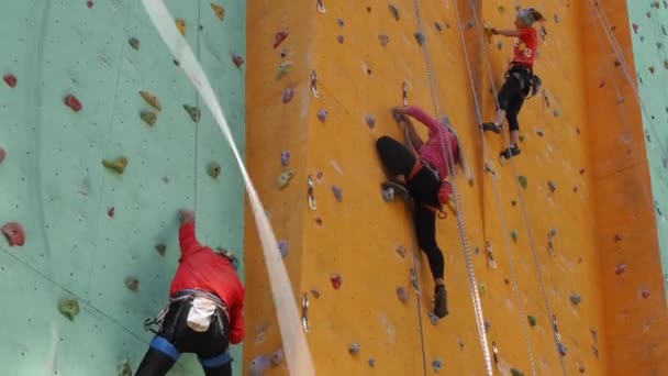 Climbing wall in the open air. Elderly man and children together overcomes routes - Footage, Video