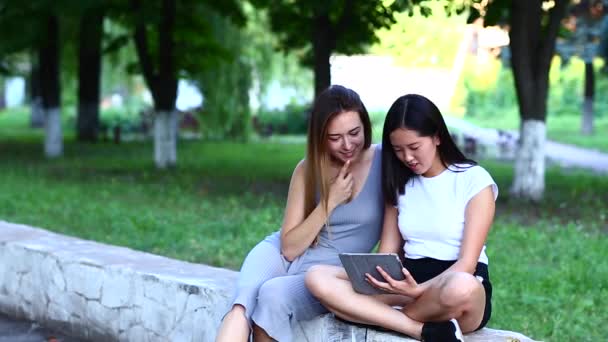 Dwie kobiety wykorzystuje najnowocześniejsze tabletka technologia Laptop na zielonym tle. Pani - Materiał filmowy, wideo