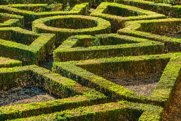 green labyrinth during daytime  - Foto, imagen