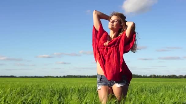 Mujer feliz disfrutando de la naturaleza hermosa rubia posando en el campo. Concepto feliz
. - Metraje, vídeo