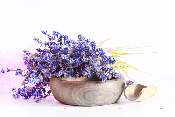 Joukko laventeli kukkia valkoisella taustalla - Valokuva, kuva
