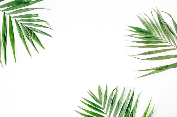 Green palm branches  - Photo, Image