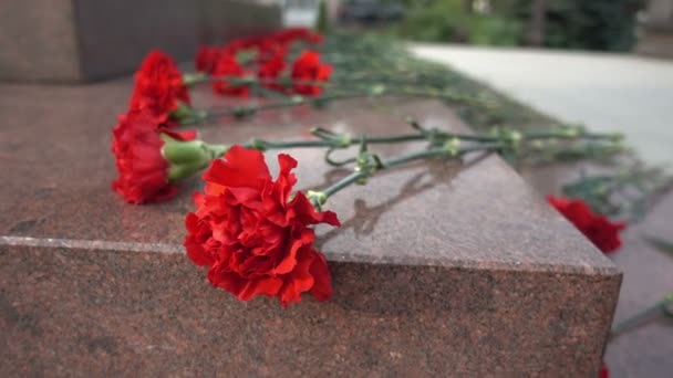 Rote Blumen auf einem Grabstein - Filmmaterial, Video