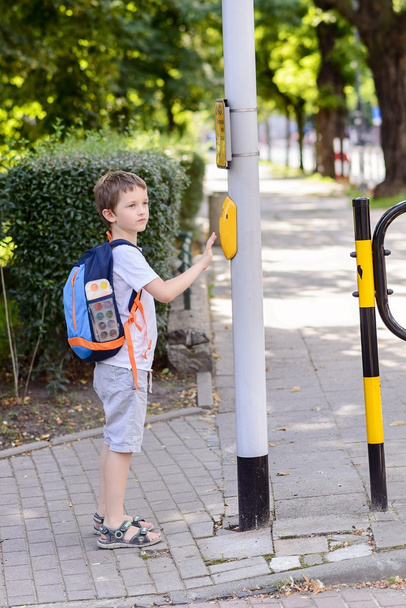 Little 7 years schoolboy pressing a button on traffic lights - Photo, Image