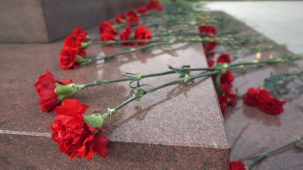 červené květy na náhrobek - Záběry, video