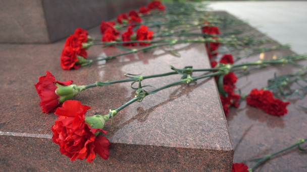 fleurs rouges sur une pierre tombale
 - Photo, image