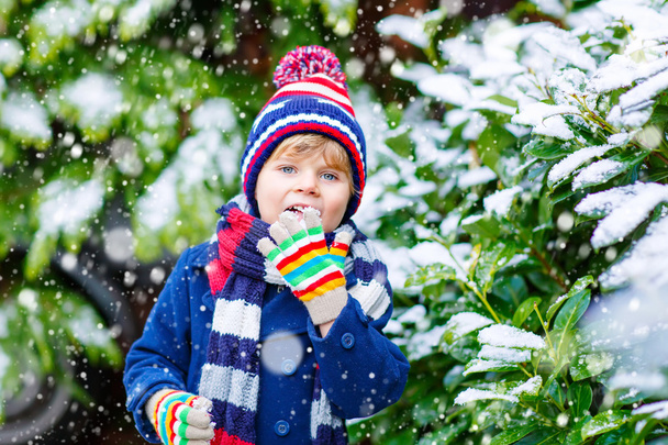 gelukkig kid jongen hebben plezier met sneeuw in de winter - Foto, afbeelding