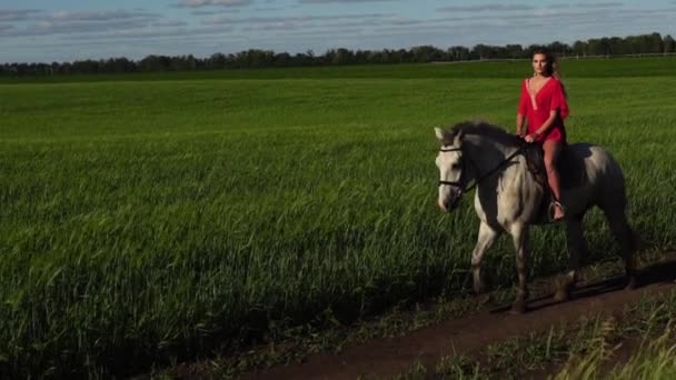 Fiatal gyönyörű nő lovas lovaglás egy fehér ló a pályán - Felvétel, videó