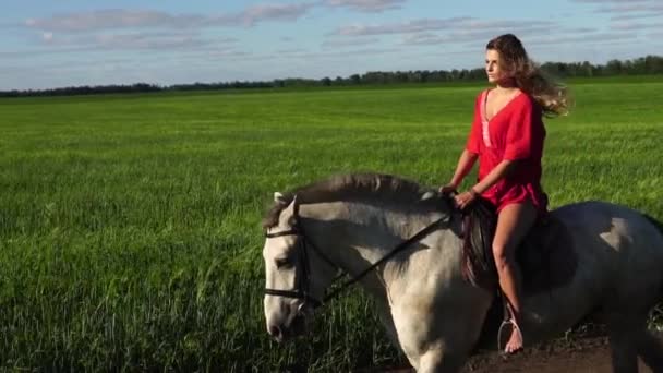 Νεαρή όμορφη γυναίκα αναβάτη ιππασίας ένα άσπρο άλογο στο χωράφι - Πλάνα, βίντεο