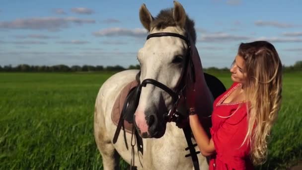 Portrait of young beautiful woman dreesed in red with white horse near the field - Footage, Video