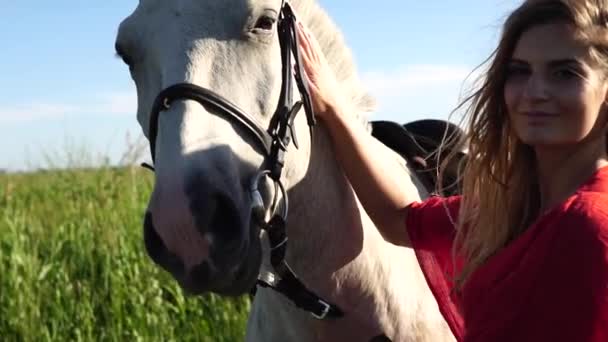 Retrato de una joven mujer hermosa dragado en rojo con caballo blanco cerca del campo
 - Imágenes, Vídeo