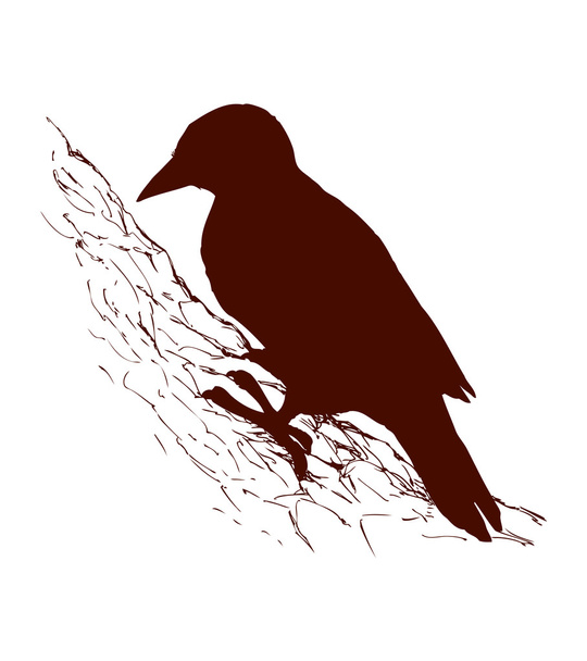 Bird. Vector drawing - Vector, Image