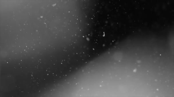 Abstrakcja Światło i cząsteczki kurzu - Materiał filmowy, wideo