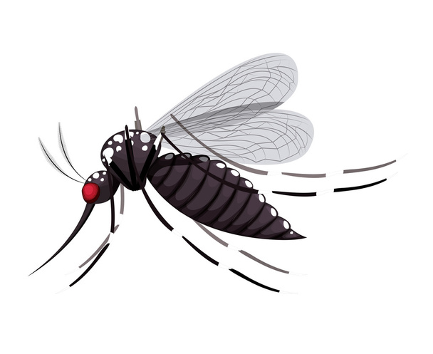 transmisor de mosca icono aislado
 - Vector, imagen