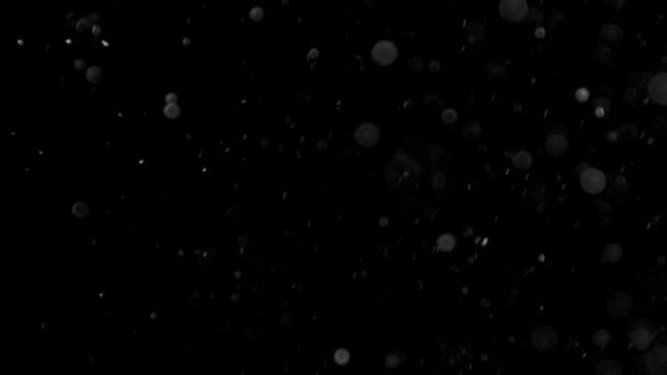 nube di polvere isolato sfondo nero bokeh bolla
 - Filmati, video