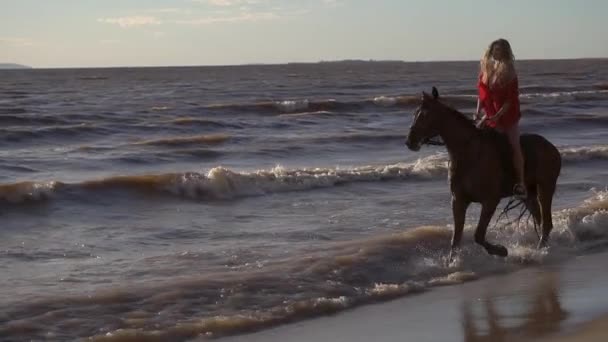 Vrouw rijden op paard op rivier strand in water zonsondergang licht - Video