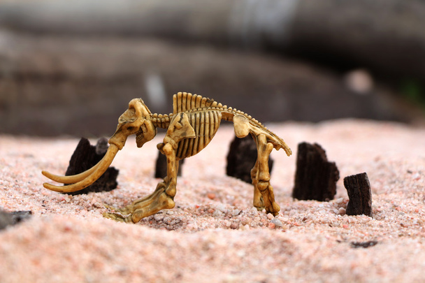 A child's toy. The mammoth skeleton on the sand. - Valokuva, kuva