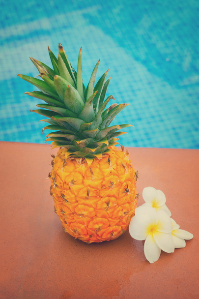 Pineapple and pool - Fotó, kép