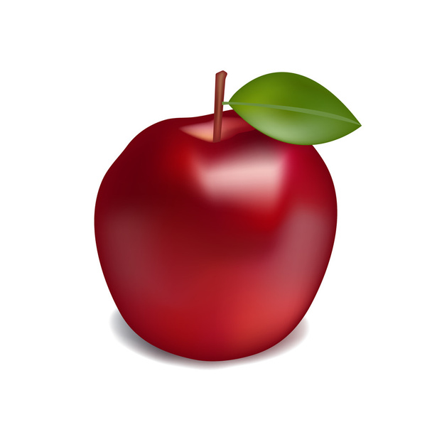 Realistic red apple with shadow on a white background vector illustration - Vektör, Görsel
